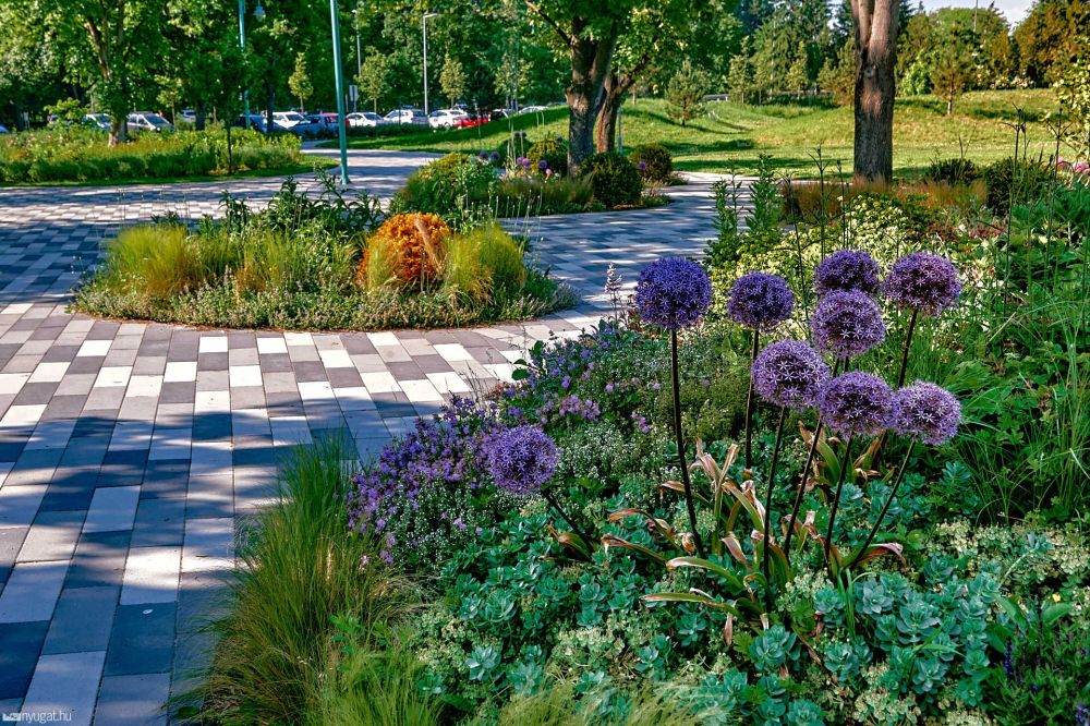 SPORTLIGET REKONSTRUKCIÓ